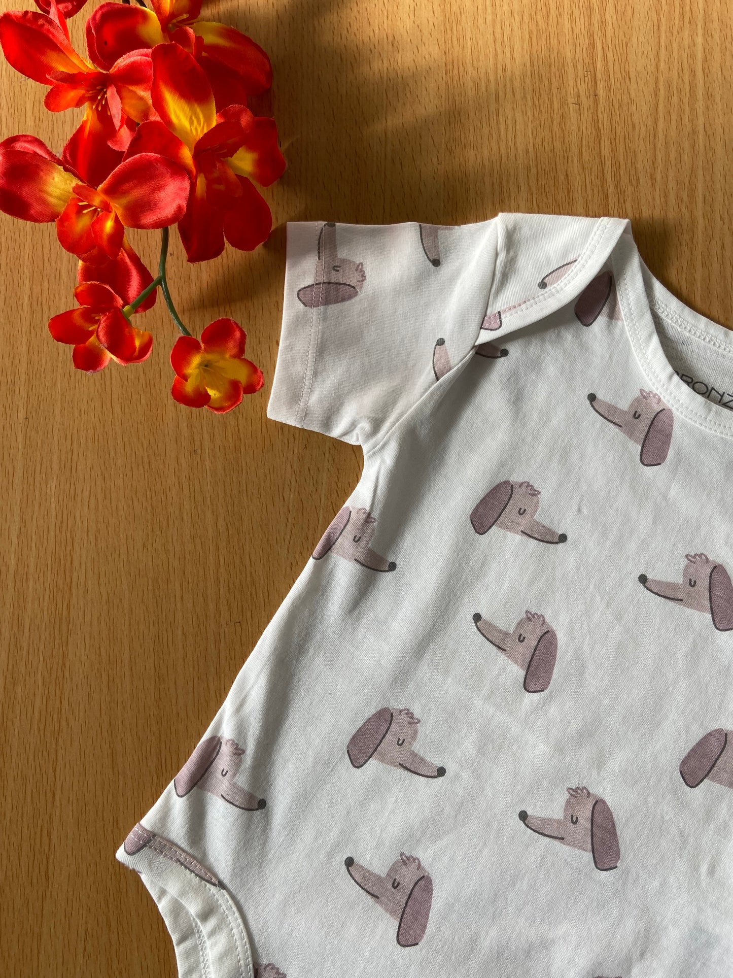 Organic Cotton Unisex Infant Romper with Cute Prints – Half Sleeve IP14