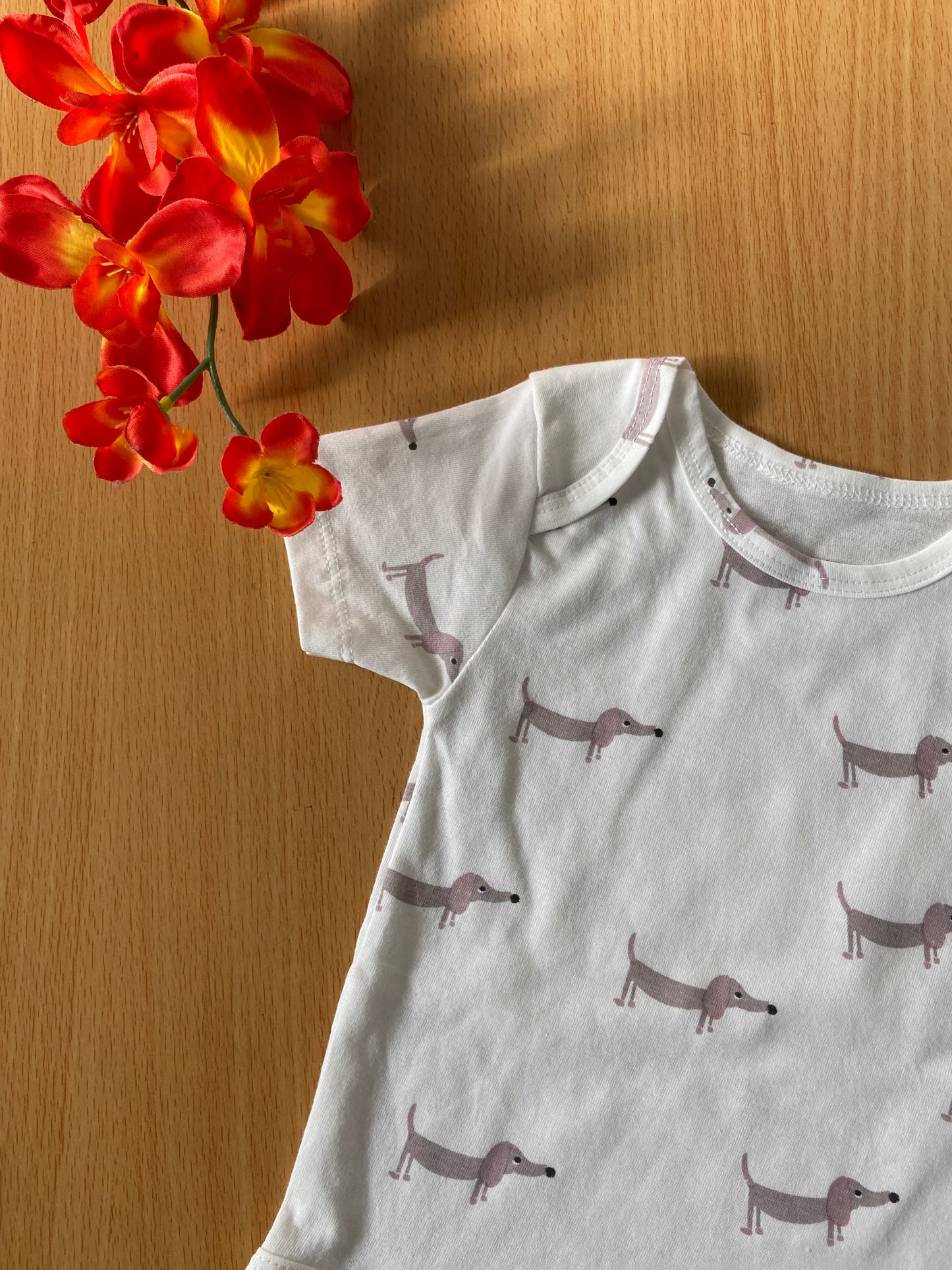 Organic Cotton Unisex Infant Romper with Cute Prints – Half Sleeve IP14