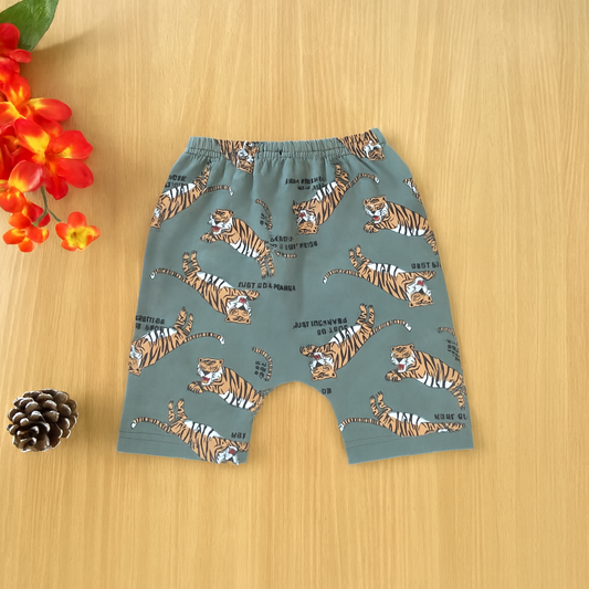 Boys Trendy Shorts IP13
