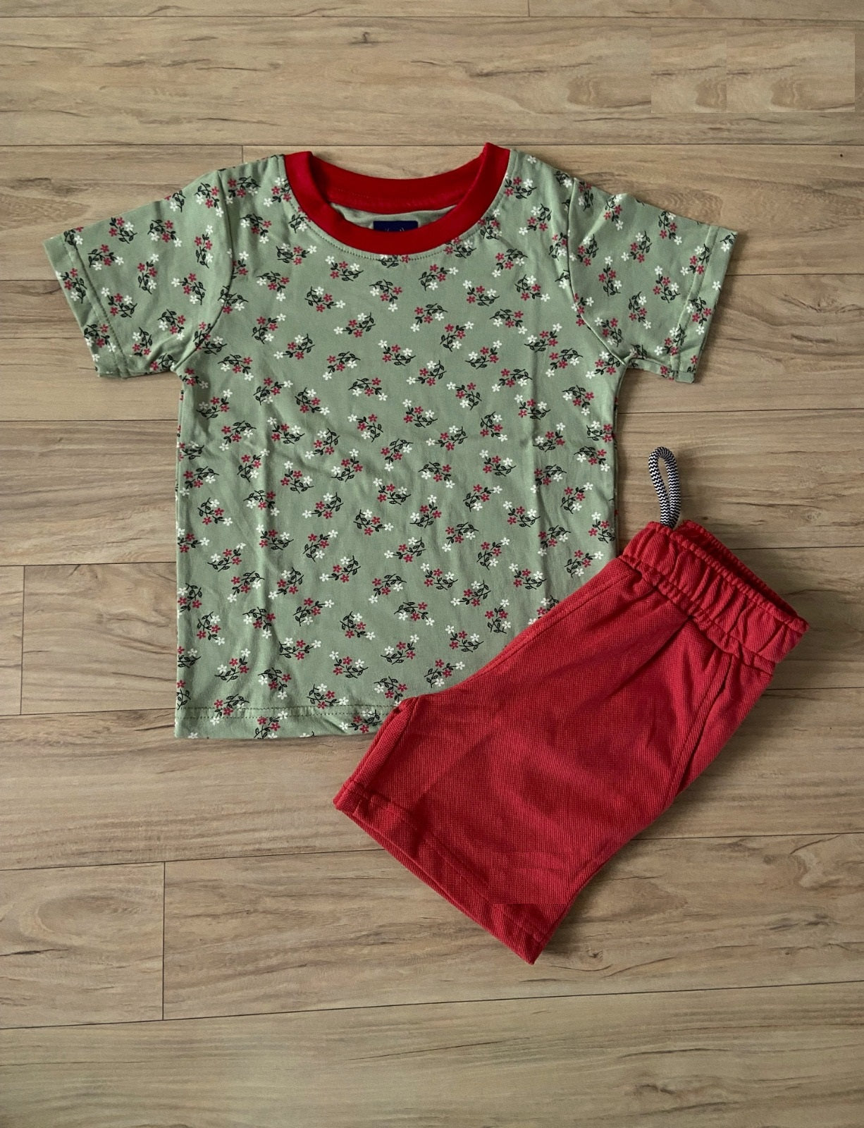 Girls T Shirt with Shorts Combo Set IP10